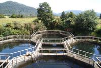 Zuchtbecken &ndash; &copy; Susanne Schirmann (Eberhardt TRAVEL)