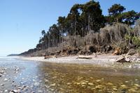 Bruce Bay (4) &ndash; &copy; Susanne Schirmann (Eberhardt TRAVEL)