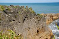 Pancake Rocks (6) &ndash; &copy; Susanne Schirmann (Eberhardt TRAVEL)