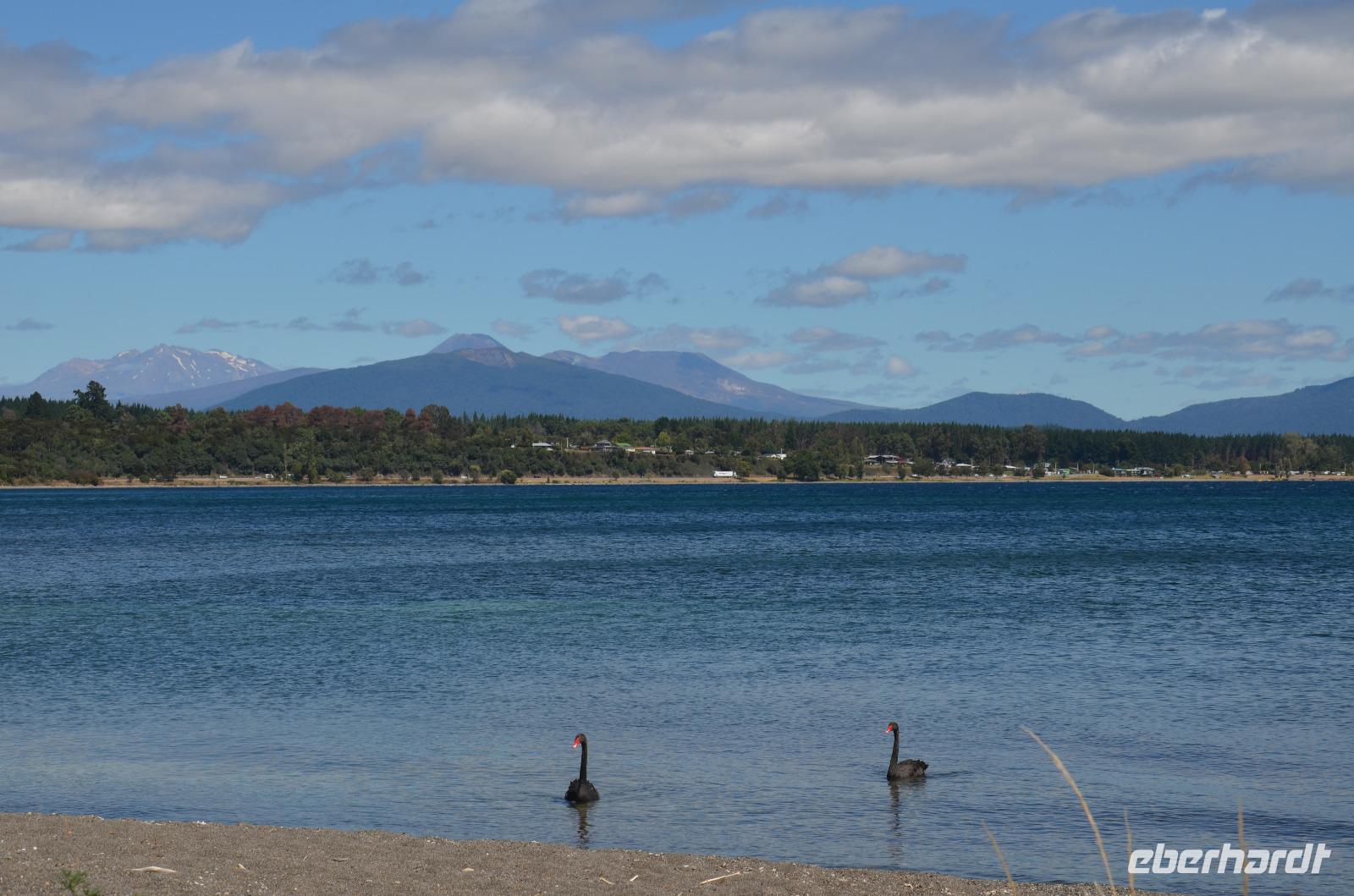 Lake Taupo &ndash; &copy; Katja Neumann (Eberhardt TRAVEL)