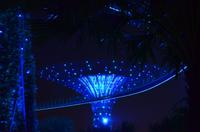 Supertree Grove - OCBC Skyway &ndash; &copy; Katja Neumann (Eberhardt TRAVEL)