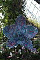Cloud Forest 3 &ndash; &copy; Katja Neumann (Eberhardt TRAVEL)
