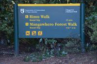 Rimu Walk &ndash; &copy; Katja Neumann (Eberhardt TRAVEL)