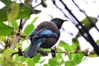 Tui &ndash; &copy; Katja Neumann (Eberhardt TRAVEL)