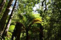 Kepler Track 2 &ndash; &copy; Katja Neumann (Eberhardt TRAVEL)