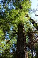 Kepler Track &ndash; &copy; Katja Neumann (Eberhardt TRAVEL)