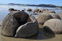 Moeraki Boulders &ndash; &copy; Katja Neumann (Eberhardt TRAVEL)