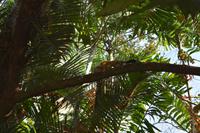 Quepos &ndash; &copy; Eric Richter (Eberhardt TRAVEL)