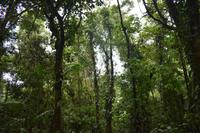 Costa Rica &ndash; &copy; Eric Richter (Eberhardt TRAVEL)