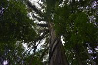 Costa Rica &ndash; &copy; Eric Richter (Eberhardt TRAVEL)