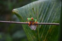 La Fortuna &ndash; &copy; Eric Richter (Eberhardt TRAVEL)
