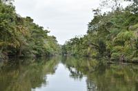 Tortugero &ndash; &copy; Eric Richter (Eberhardt TRAVEL)