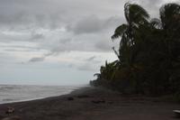Tortugero &ndash; &copy; Eric Richter (Eberhardt TRAVEL)