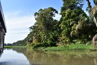 Tortugero &ndash; &copy; Eric Richter (Eberhardt TRAVEL)
