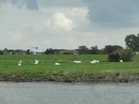 Fahrt nach Deventer
