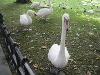 IMG_9070 &ndash; &copy; Kerstin Veit (Eberhardt TRAVEL)