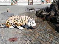 Antwerpen (4)