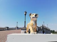 Antwerpen (5) &ndash; &copy; Steffi Zimmermann (Eberhardt TRAVEL)