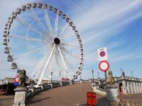 Antwerpen &ndash; &copy; Gisela Gerlach (Eberhardt TRAVEL)