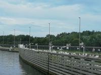 IMG_20200723_204332 &ndash; &copy; Gisela Gerlach (Eberhardt TRAVEL)