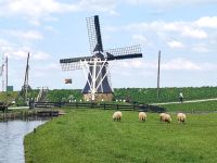 Postkartengleicher Kitsch, Zuiderseemuseum &ndash; &copy; Simone Willner (Eberhardt TRAVEL)