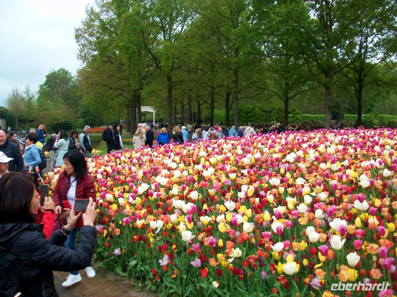 Im Keukenhof &ndash; &copy; Steffen Mucke (Eberhardt TRAVEL)