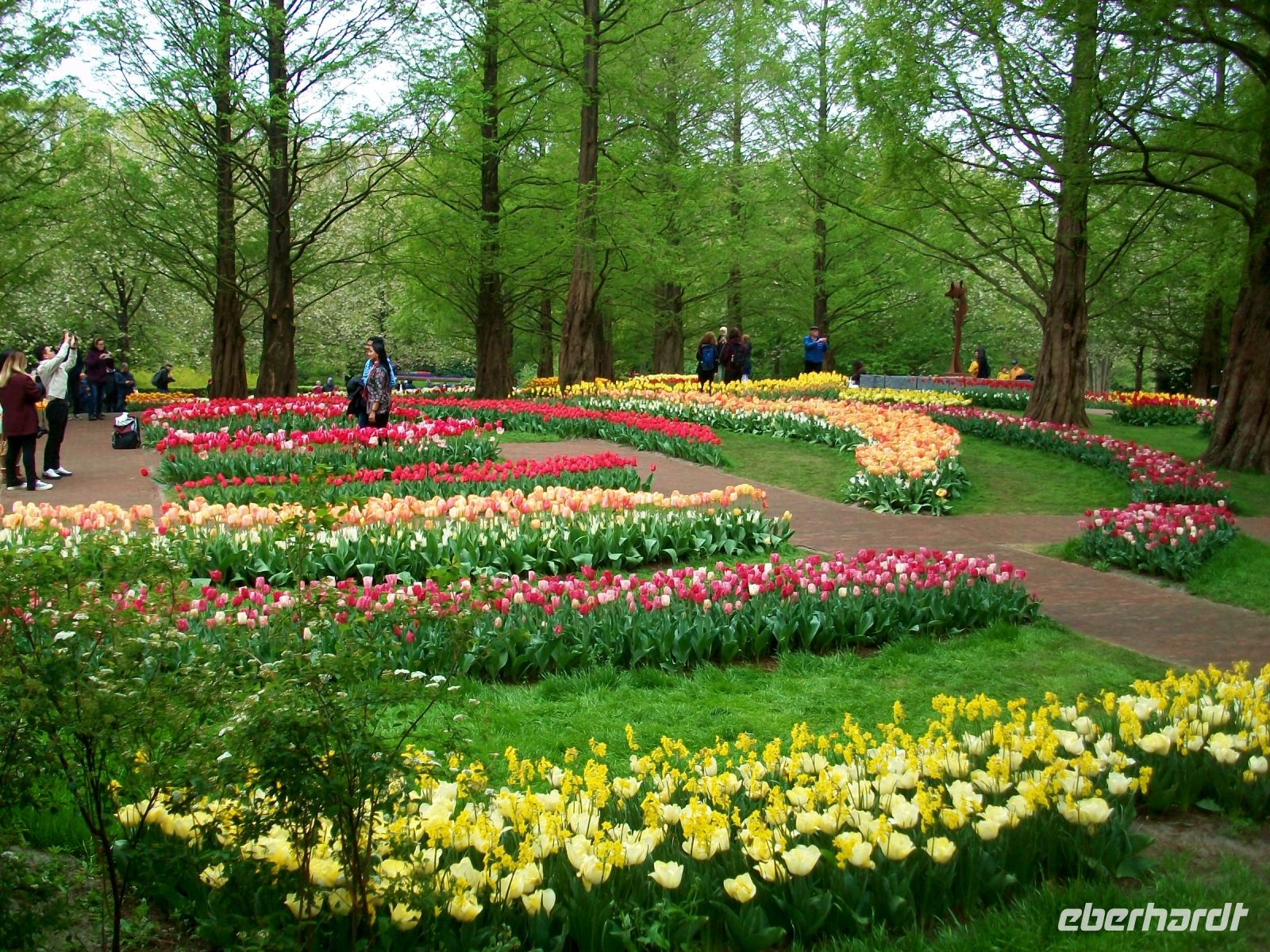 Im Keukenhof &ndash; &copy; Steffen Mucke (Eberhardt TRAVEL)