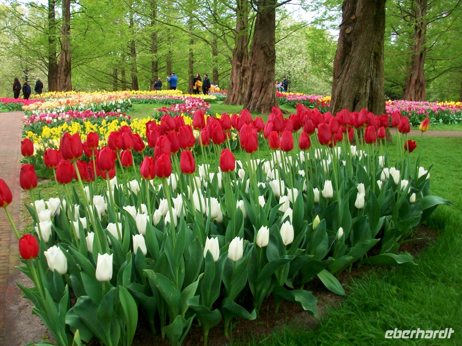 Im Keukenhof &ndash; &copy; Steffen Mucke (Eberhardt TRAVEL)