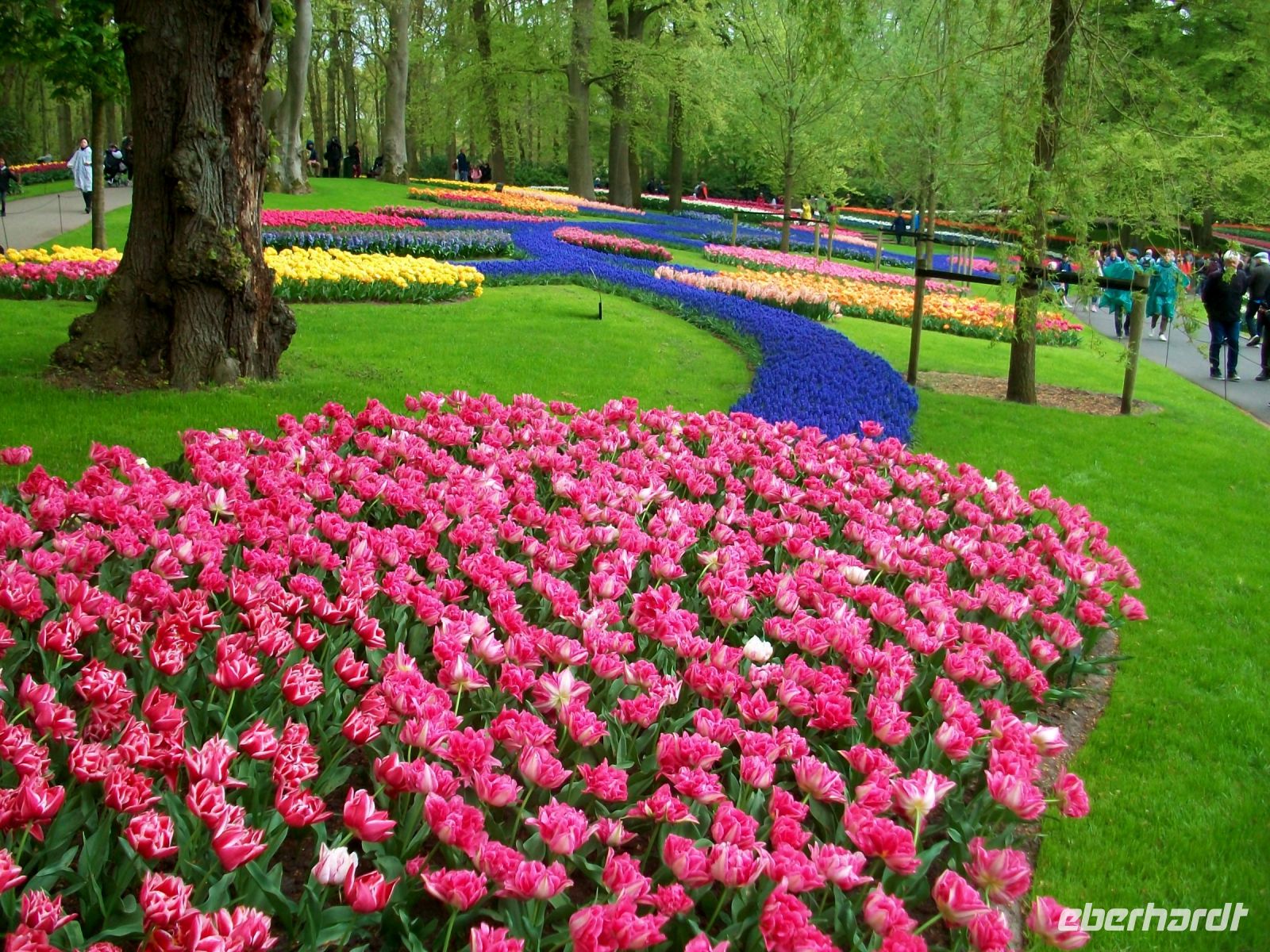 Im Keukenhof &ndash; &copy; Steffen Mucke (Eberhardt TRAVEL)