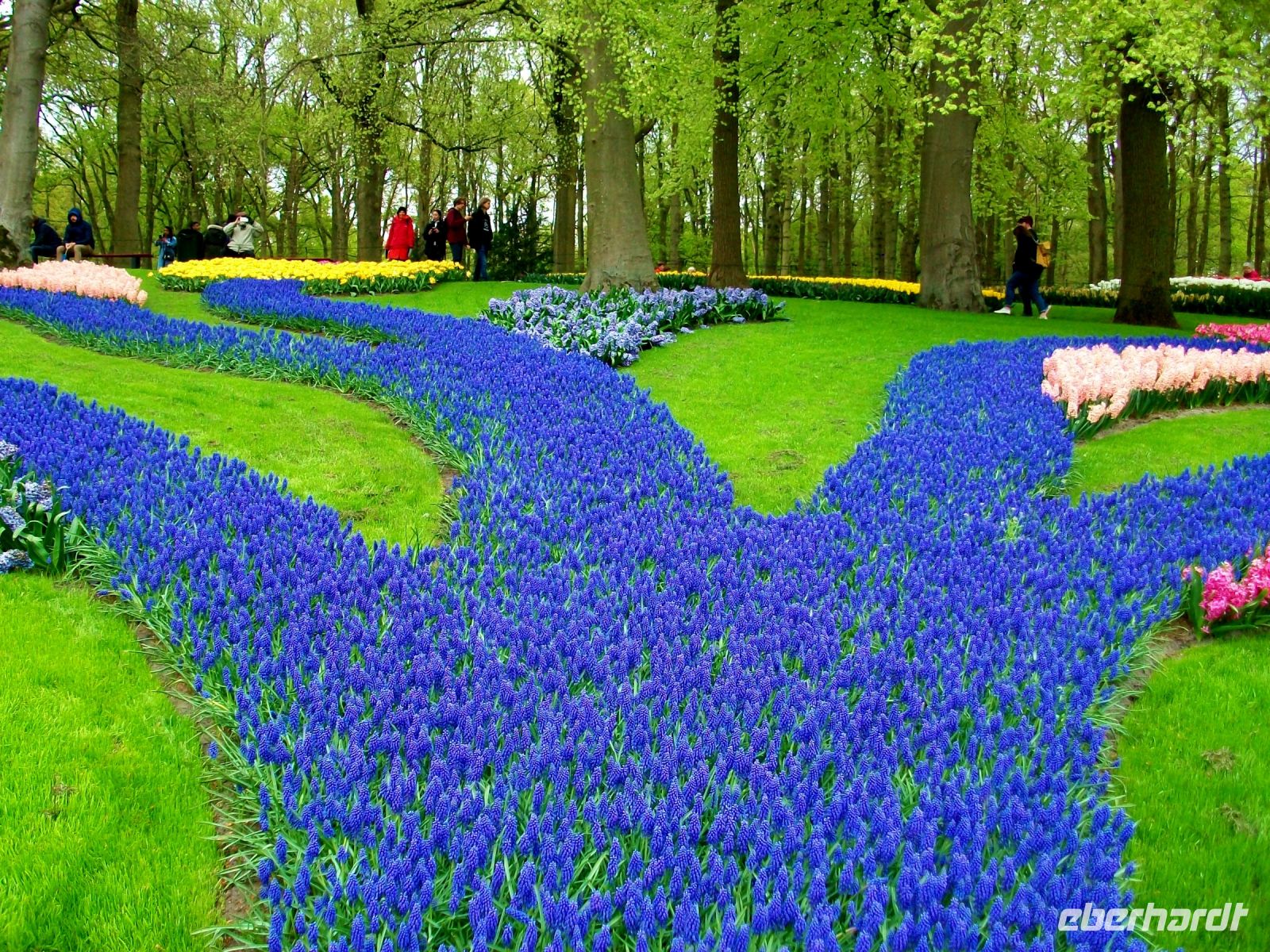 Im Keukenhof &ndash; &copy; Steffen Mucke (Eberhardt TRAVEL)