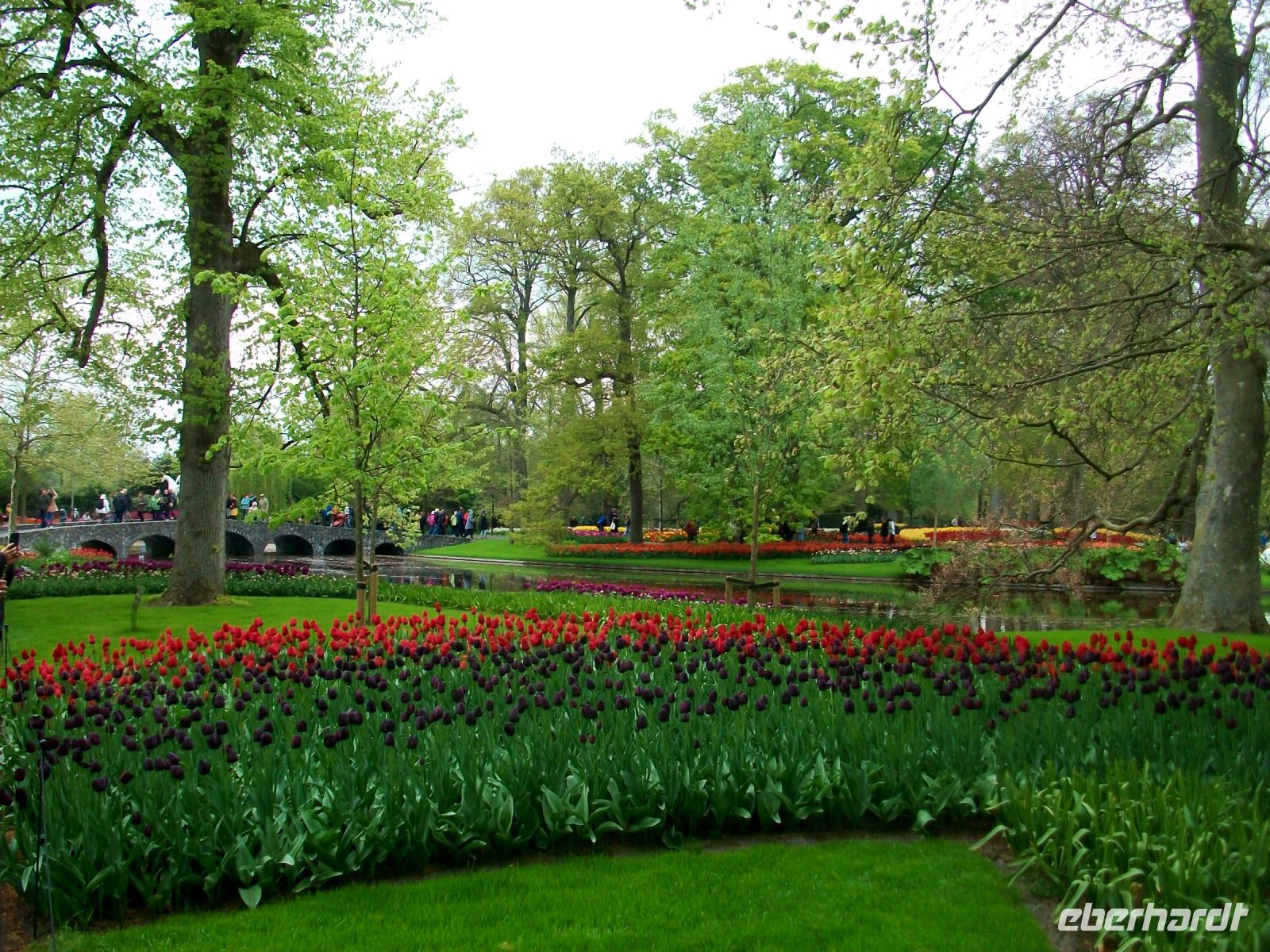 Im Keukenhof &ndash; &copy; Steffen Mucke (Eberhardt TRAVEL)