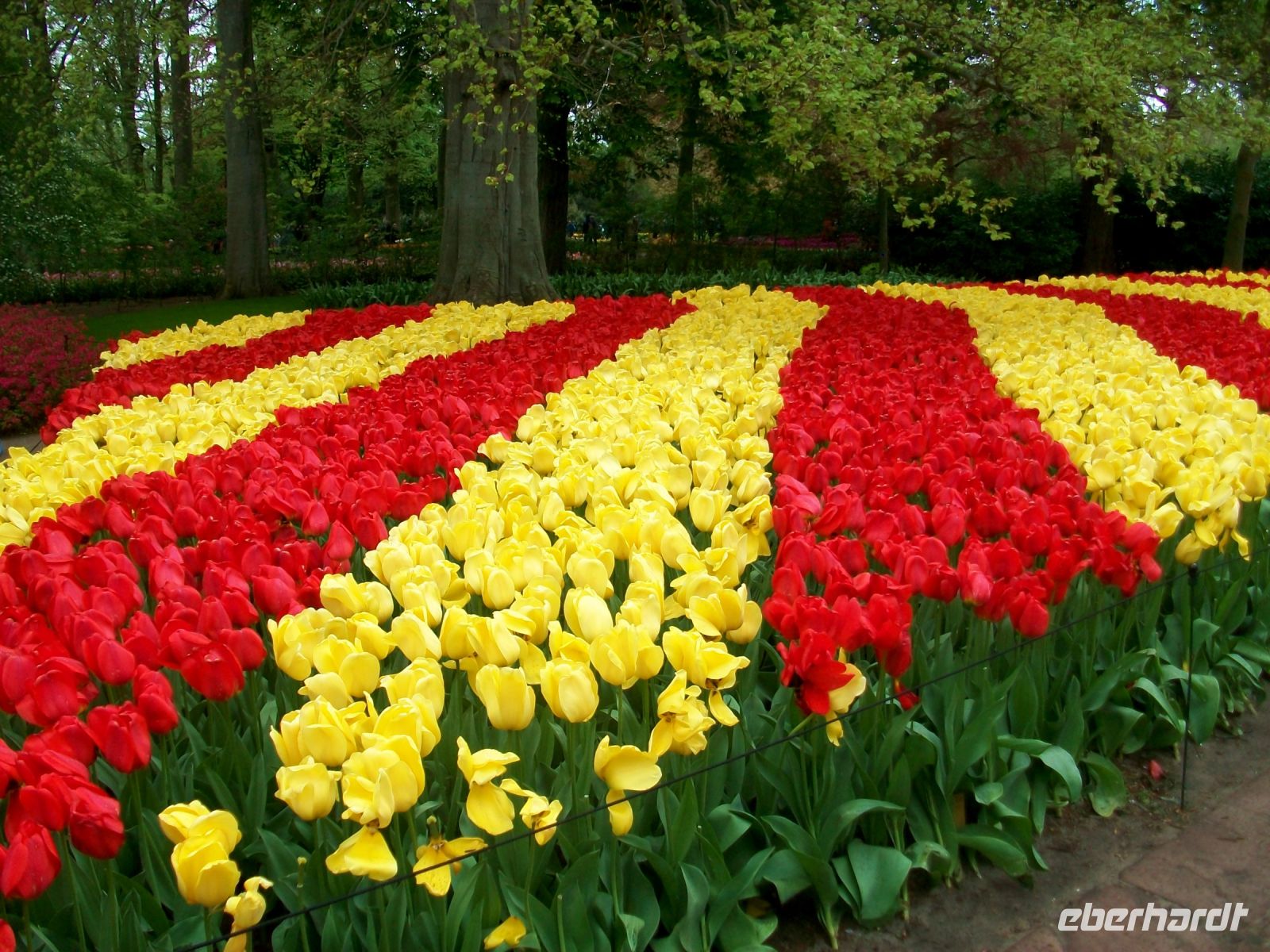 Im Keukenhof &ndash; &copy; Steffen Mucke (Eberhardt TRAVEL)