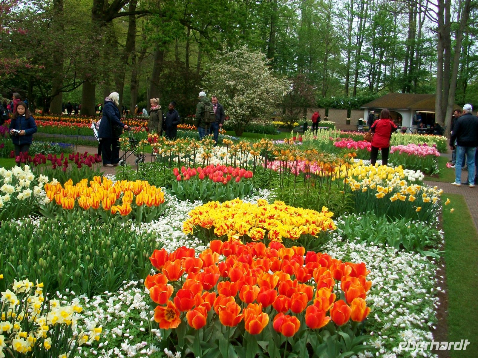 Im Keukenhof &ndash; &copy; Steffen Mucke (Eberhardt TRAVEL)