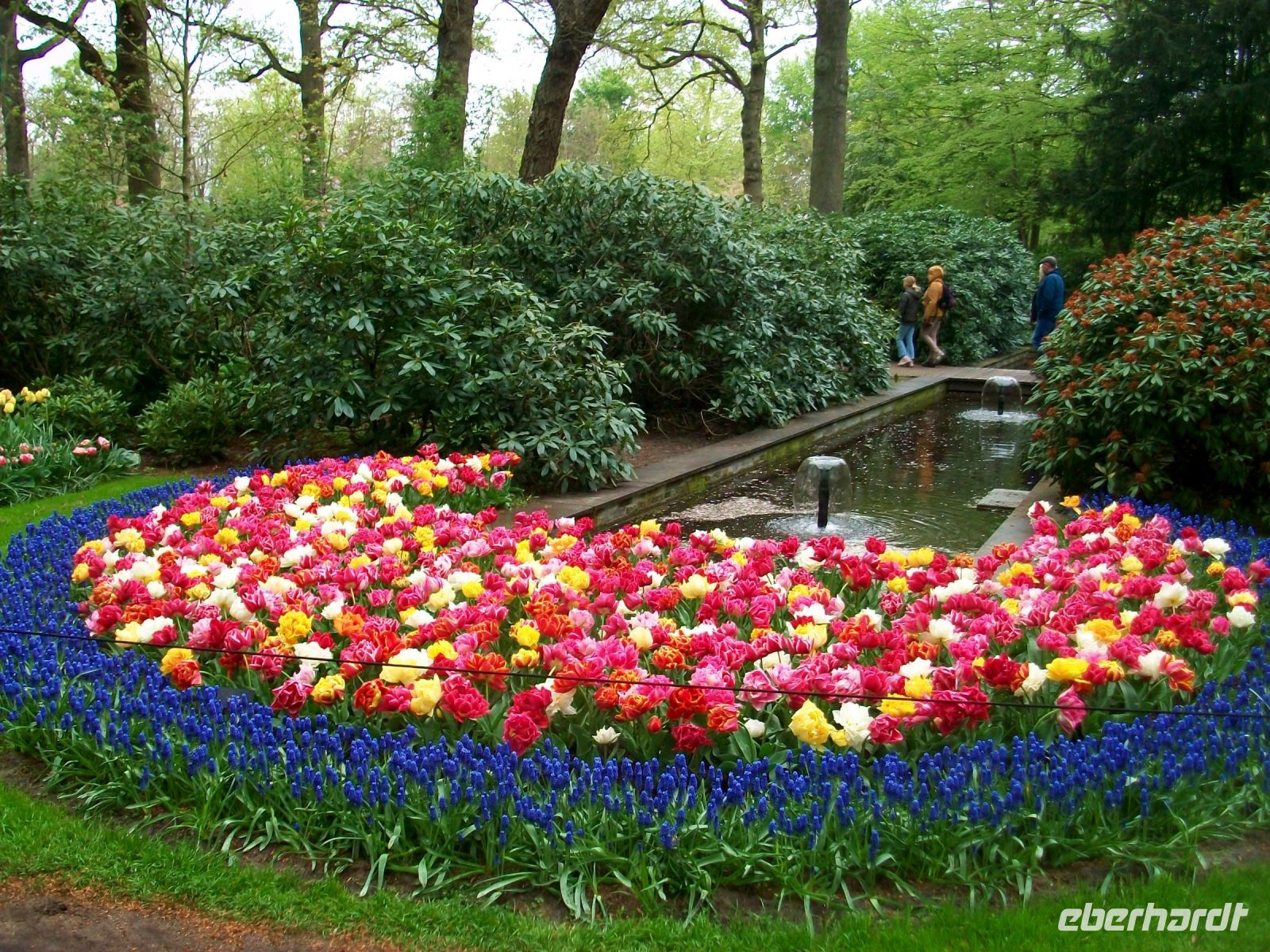 Im Keukenhof &ndash; &copy; Steffen Mucke (Eberhardt TRAVEL)