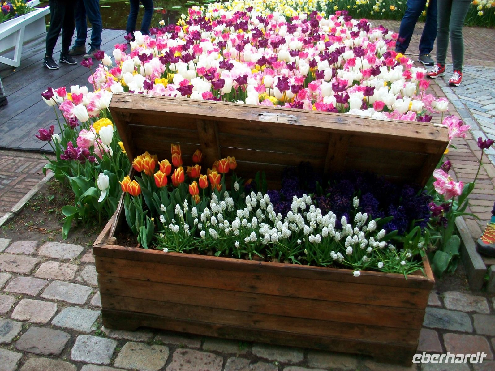 Im Keukenhof &ndash; &copy; Steffen Mucke (Eberhardt TRAVEL)