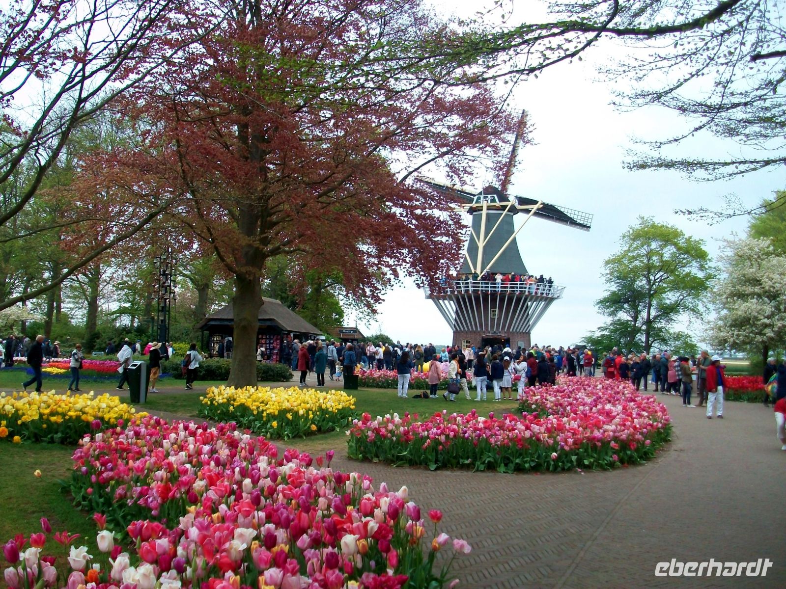 Im Keukenhof &ndash; &copy; Steffen Mucke (Eberhardt TRAVEL)