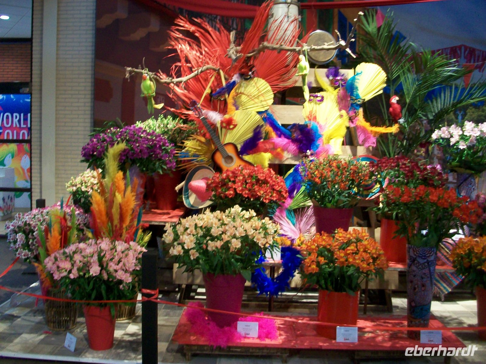 Im Keukenhof &ndash; &copy; Steffen Mucke (Eberhardt TRAVEL)