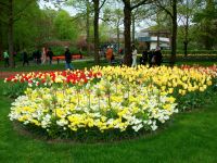 Im Keukenhof &ndash; &copy; Steffen Mucke (Eberhardt TRAVEL)