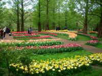 Im Keukenhof &ndash; &copy; Steffen Mucke (Eberhardt TRAVEL)