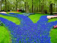 Im Keukenhof &ndash; &copy; Steffen Mucke (Eberhardt TRAVEL)
