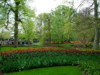 Im Keukenhof &ndash; &copy; Steffen Mucke (Eberhardt TRAVEL)