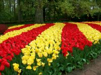 Im Keukenhof &ndash; &copy; Steffen Mucke (Eberhardt TRAVEL)