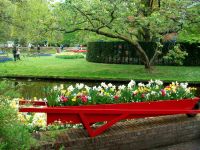 Im Keukenhof &ndash; &copy; Steffen Mucke (Eberhardt TRAVEL)