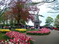 Im Keukenhof &ndash; &copy; Steffen Mucke (Eberhardt TRAVEL)