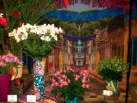Im Keukenhof &ndash; &copy; Steffen Mucke (Eberhardt TRAVEL)