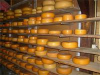 Bauernkäse vom Bauern Hoeve &ndash; &copy; Eva-Maria Strauß-Eberhardt (Eberhardt TRAVEL)