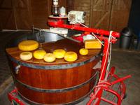 Frischer Gouda &ndash; &copy; Harald Kühne (Eberhardt TRAVEL)