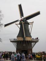 Im Keukenhof &ndash; &copy; Steffen Mucke (Eberhardt TRAVEL)