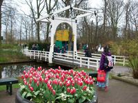 Im Keukenhof &ndash; &copy; Steffen Mucke (Eberhardt TRAVEL)