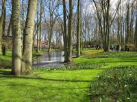 Lisse-Keuckenhof &ndash; &copy; Gisela Gerlach (Eberhardt TRAVEL)